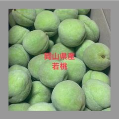 福島県産 若桃 青子 10キロ 常温発送 ガリガリ福島県産桃 小さめ10キロ