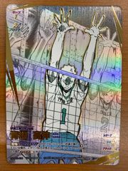 未開封 ピジョット プロモ 073/PCG-P 明治 meiji PROMO ポケカ