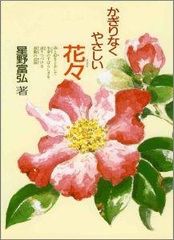 授業者の風景 : 椿の色はつばき色 - メルカリ