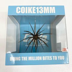 コイケ13mm グリーンパンプキン コイケ13mmグリーンパンプキン - メルカリ