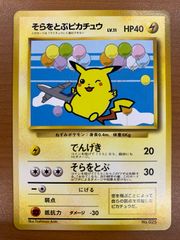 そらをとぶピカチュウ_ANA 「みんなにうれしいキャンペーン
