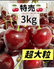 常温便9.5r超大粒アメリカンチェリー3kg 車厘子 果物 フルーツ