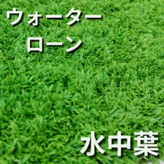 ウォーターローン水中葉のサムネイル