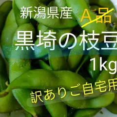 【B品ご自宅用訳あり規格外】鮮度抜群♪　黒埼の枝豆　えだまめ　1キロ　朝採り即日発送！　にいがたピカッとマルシェ　旬の野菜　数量限定セール！のサムネイル