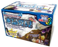 発掘！海洋生物 シークレット - メルカリ
