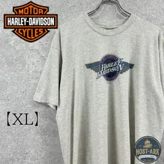 HARLEY-DAVIDSON】希少 90s ハーレーダビッドソン Tシャツ HOLOUBEK