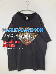 Rising Sun Grunge Mid Length Raw Hem - メルカリ