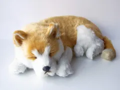 ニニアンドキノ パーフェクトペット (大サイズ) 柴犬 ぬいぐるみ 犬 いぬ イヌ リアル 本物 そっくり 雑貨 動物 アニマル 癒し 動く プレゼント ギフト お祝い かわいい 犬のぬいぐるみのサムネイル