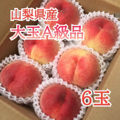 桃(日川)秀品 大玉6個 60サイズ箱入り - メルカリ