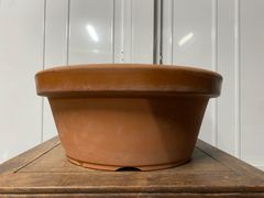 希少】英国製 ウィッチフォード 特大ペイストリーポット 2000年刻印