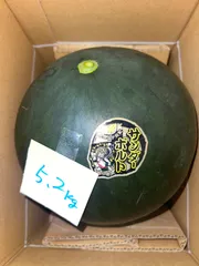 北海道沖縄離島追加送料無し　熊本県産黄色すいか《サンダーボルト》5.2kg現品販売のサムネイル