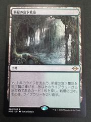 MTG 世慣れた見張り、デルニー 日本語 foil プロモ pwcs 2025 summer