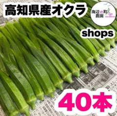 夏野菜【高知県産オクラ】A品＆B品 40本 おくら 野菜 産地直送！のサムネイル