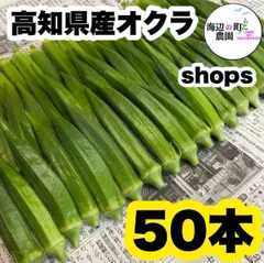 夏野菜【高知県産オクラ】A品＆B品 50本 おくら 野菜 産地直送のサムネイル