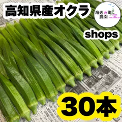 夏野菜【高知県産オクラ】A品＆B品 30本 おくら 野菜 産地直送のサムネイル