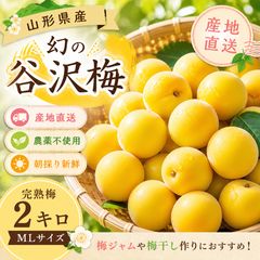 幻の谷沢梅 青梅1kg 農薬不使用 産地直送 - メルカリ