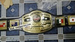 チャンピオンベルト レプリカ WKF ringside キックボクシング インド