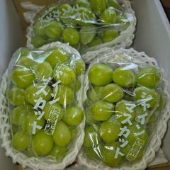 大房ハウス山梨「シャインマスカット」と特秀品4L「やまがた紅王」詰め