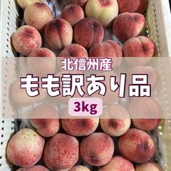 和歌山県産 完熟南高梅‼️3L〜4L混合‼️3kg みかんキング - メルカリ