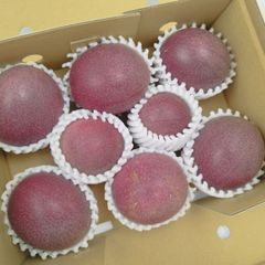 パッションフルーツ 種子島産 60サイズ満杯 - メルカリ
