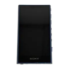 SONY NW-A306 ウォークマン　ジャンク品 2026年最新】nw-a306 ジャンクの人気アイテム - メルカリ