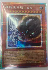 2026年最新】原始生命態ニビルの人気アイテム - メルカリ