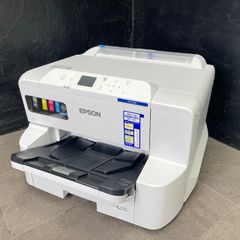 ガーメントプリンタ Roland BT-12 RICOH ri100 同等品 - メルカリ