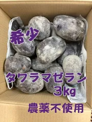 幻のじゃがいも！サツマイモのような濃厚な甘みとコク！極上のホクホク感『タワラマゼラン』」 新じゃが　箱込み約３kgのサムネイル
