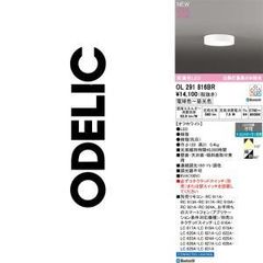 ODELIC シーリングライト OL 291 618BR - メルカリ