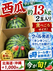 * 🍉夏本番！極甘 愛媛西瓜 2玉入り * 🍉厳選！愛媛県産 西瓜 約13kg クール便発送のサムネイル