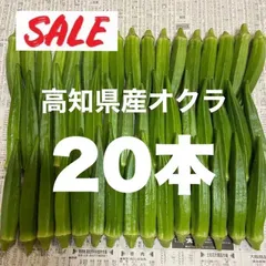 20本 高知県産 オクラ 野菜 即購入OK 産地直送 nfのサムネイル