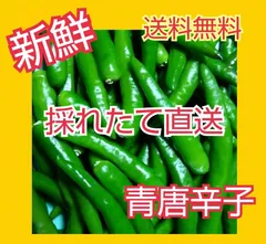 リピーター多数♪【大分県産】青唐辛子300㌘のサムネイル