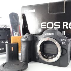 ショット数 388回!!》Panasonic LUMIX DC-GF9 ボディ オレンジ - メルカリ