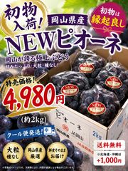 岡山県産ニューピオーネ 4房 - メルカリ