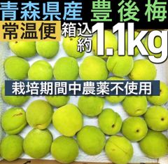 木成り完全完熟❗️山形県産『節田梅』訳あり特大1kg - メルカリ