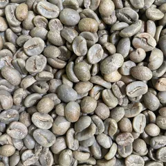 【コーヒー生豆】Costa Rica Jaguar Honey SHB 100gのサムネイル