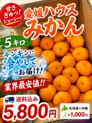 1. 🍊愛媛ハウスみかん 約5kg 業界最安値‼️送料込み5,800円🍊 2. 🍊夏のご褒美！愛媛ハウスみかん 5kg クール便発送❄️のサムネイル