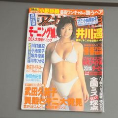 送料無料】週刊少年マガジン 1996年1月18日・24日号 第5・6号 ともさか