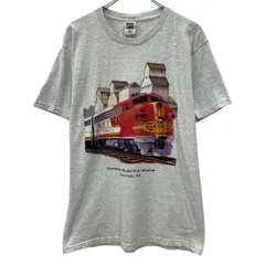 ～00s FRUIT OF THE LOOM 半袖 プリントTシャツ L グレー フルーツオブザルーム プルオーバー ～00年代 ビッグプリント 夏物 a807-5176のサムネイル