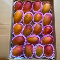 ☆② 【甘みたっぷり】 宮崎 完熟 家庭用 特大ミニマンゴー 6玉入り 約 