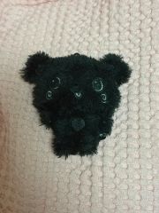 メリダとおそろしの森 ぬいぐるみ ディズニーストア くま メリダ
