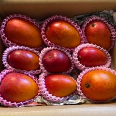宮崎完熟】特大ミニマンゴー 6玉 1.2kg 家庭用 - メルカリ