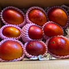 訳あり宮崎完熟マンゴー 12玉約3.6kg - メルカリ