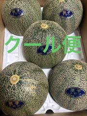 ラスト1箱！送料込み！千葉県産 アムスメロン 大玉2玉 贈答用 - メルカリ