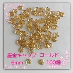 ஐ☘︎︎座金キャップG6.0