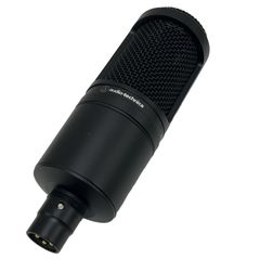 sE Electronics sE2200a II C 本体 - メルカリ