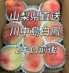 山梨一宮産の山路で獲れた美味しい桃 特大2キロ箱に6個⭐︎即日発送