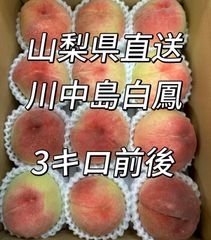 マツモト商店『年中無休』 - メルカリShops