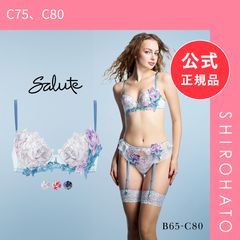 新品】ワコール サルート 36グループ 36G P-UP ブラジャー プッシュ