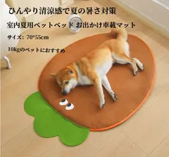 ニンジン可愛いデザイン ペット冷感藤マット 通気清涼 引っ掻きに強い 毛付きにくい 厚手スポンジクッション 滑り止め裏地 犬猫兼用 70×55cm 10kg まで対応 夏用ペットベッド ロットまとめ買い OKのサムネイル